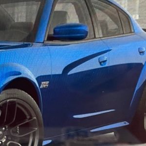 Meet your Posher, It'salldisney